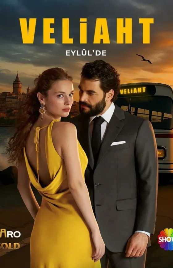 Наследный принц 1-12, 13, 14 серия турецкий сериал на русском языке смотреть онлайн бесплатно все серии